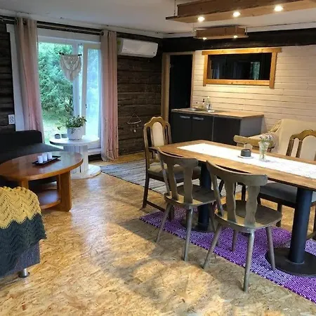Privaatne Mereaeaerne Puhkemaja Saunaga! Сasa de vacaciones *